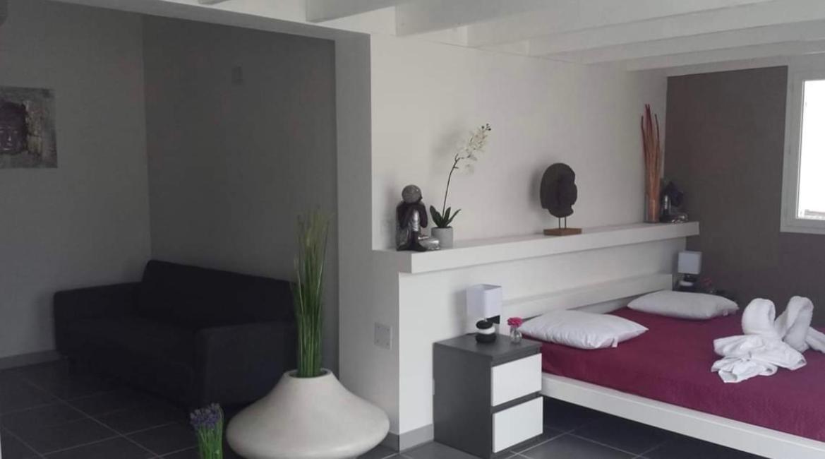 Mas La Farelle Gite, Fitness & Salle De Jeux Gratuite & Spa En Supplement Nimes Exterior photo